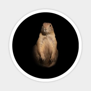 Prairie dog Magnet